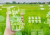 5 maneiras como Insurtech contribui para a sustentabilidade ambiental