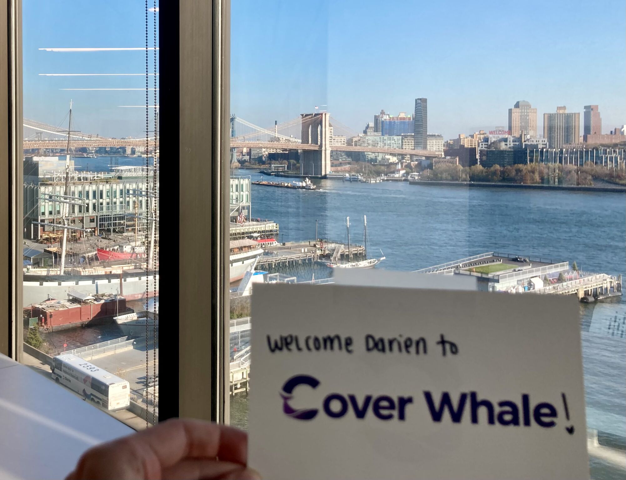 Cover Whale inaugura nova era para insurtechs com primeiro diretor de