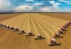 FF Seguros planeja expandir a distribuição de seguros do agro