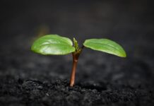 Risco ambiental deixa de ser pauta secundária e redefine estratégia do mercado de seguros