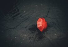 Mapfre reforça plano de contingência na região de Juiz de Fora