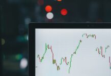 Granto Seguros entra no top 30 do país em seguro garantia