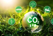 Aon desenvolve primeira proposta de apólice do mercado brasileiro com pagamento de prêmio via créditos de carbono