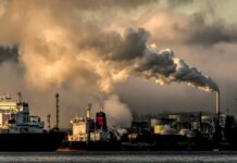 Qual o papel da insurtech nos mercados de carbono impulsionados por IA?