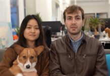 Insurtech Corgi capta US$ 160 milhões em Série B e atinge avaliação de US$ 1,3 bilhão