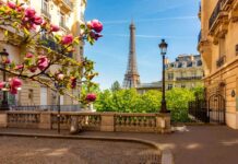 Gestoras da Susep participam, em Paris, de curso para mulheres na liderança