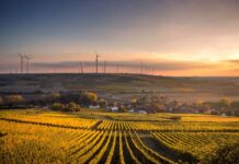 Compradores de energia renovável ganham poder de negociação com aumento do apetite das seguradoras