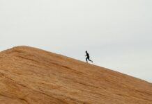 Por que a próxima grande corrida do ouro da tecnologia é o setor de seguros