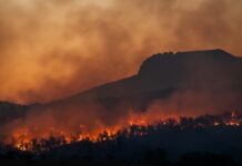 Tecnologia acelera a regulação de sinistros de incêndios florestais, mas ainda há lacunas
